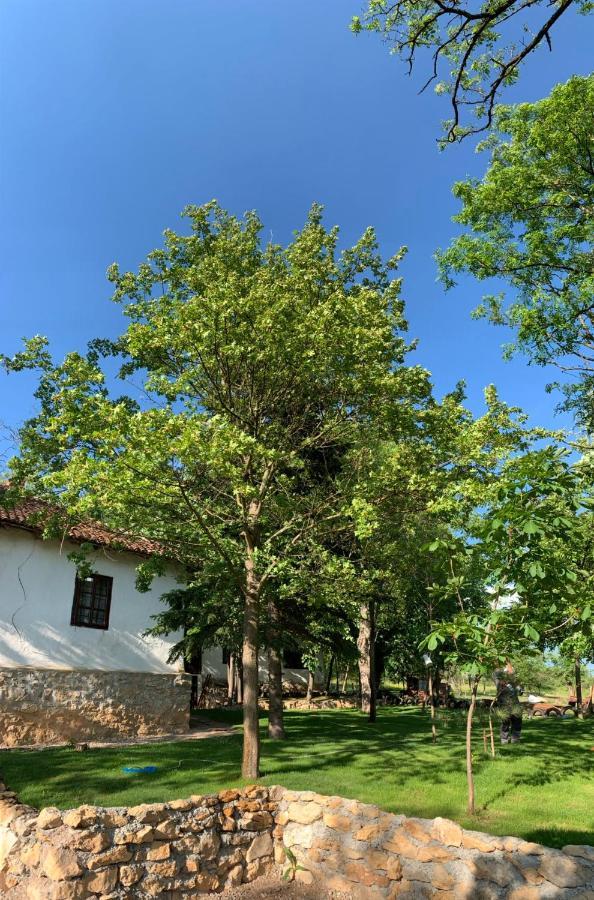 Вилла Konaciste Mali Izvor Boljevac Экстерьер фото