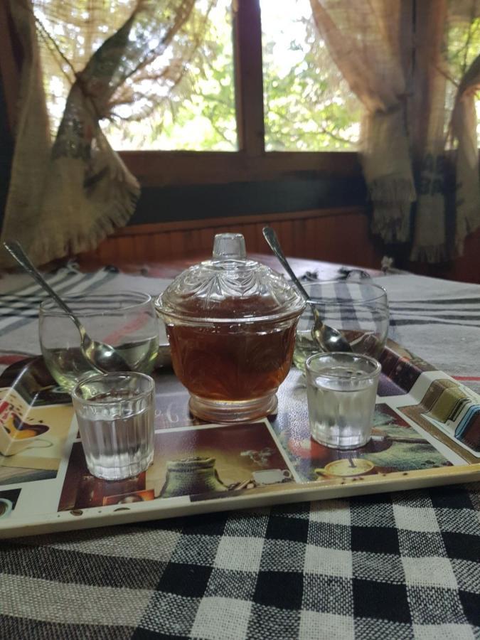 Вилла Konaciste Mali Izvor Boljevac Экстерьер фото